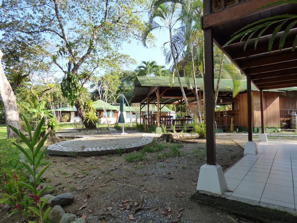 Corcovado Puerto Jiménez